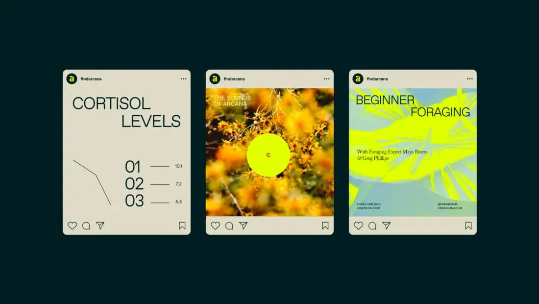 This design exhibits a clean and modern aesthetic, effectively blending subtle natural imagery with clear data visualization. The visual language relies on high contrast and simple typography to present scientific or wellness information in an accessible, yet sophisticated manner.