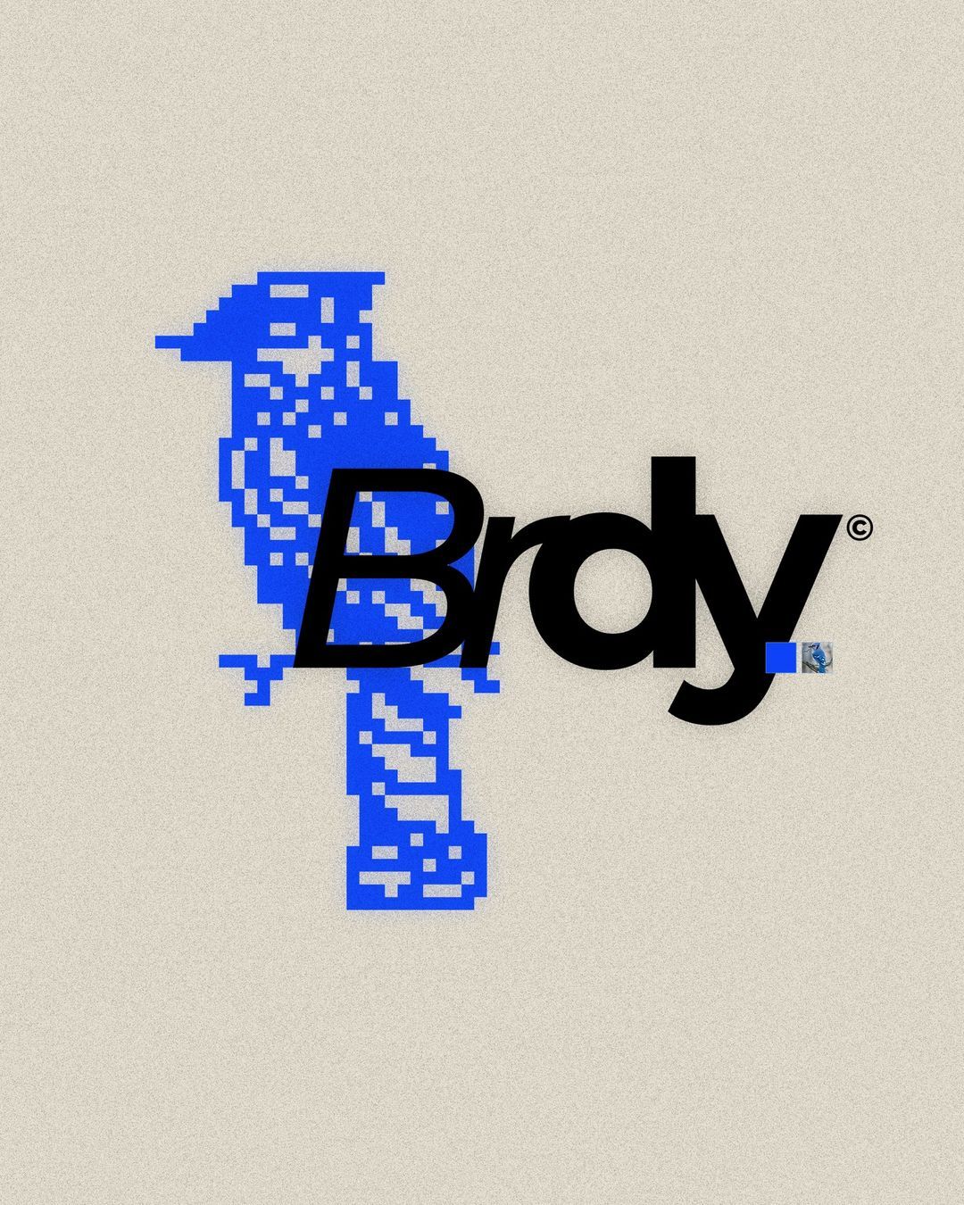 The design features a stylized, pixelated representation of a bird integrated with the word 'Brdy' in a bold, modern typeface. The visual language is clean yet textured due to the pixelation effect, creating a distinct and memorable logo mark.