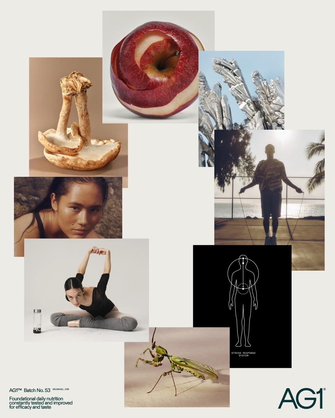 AG1 brand collage composition with mixed media photography combining product shots, lifestyle imagery, and nutritional/health messaging. Complex layered design with premium brand positioning.