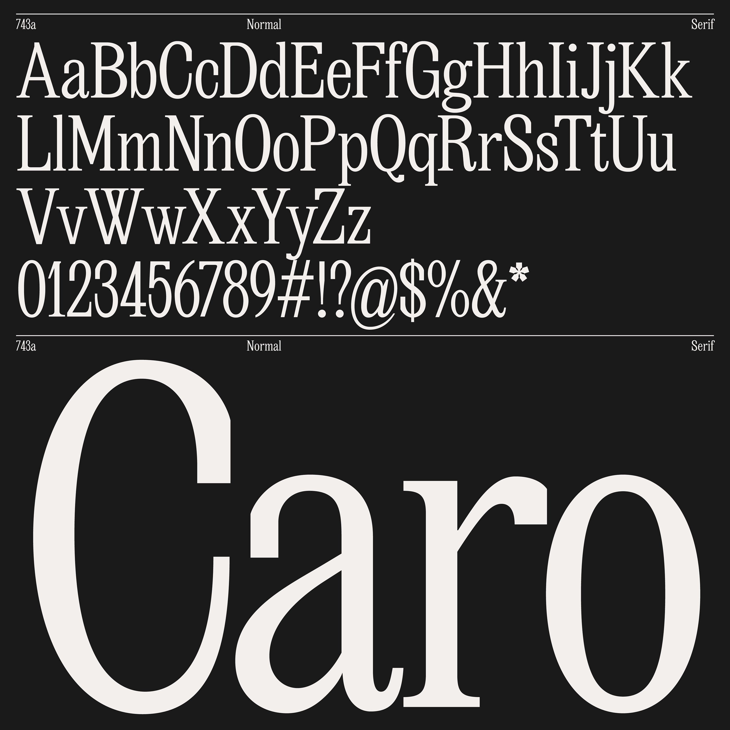 This design showcases a high-contrast typographic study, juxtaposing a technical display of various characters against a piece of elegant serif typography. The visual language is clean and academic, emphasizing clarity and the range of available characters before transitioning to a sophisticated display word.