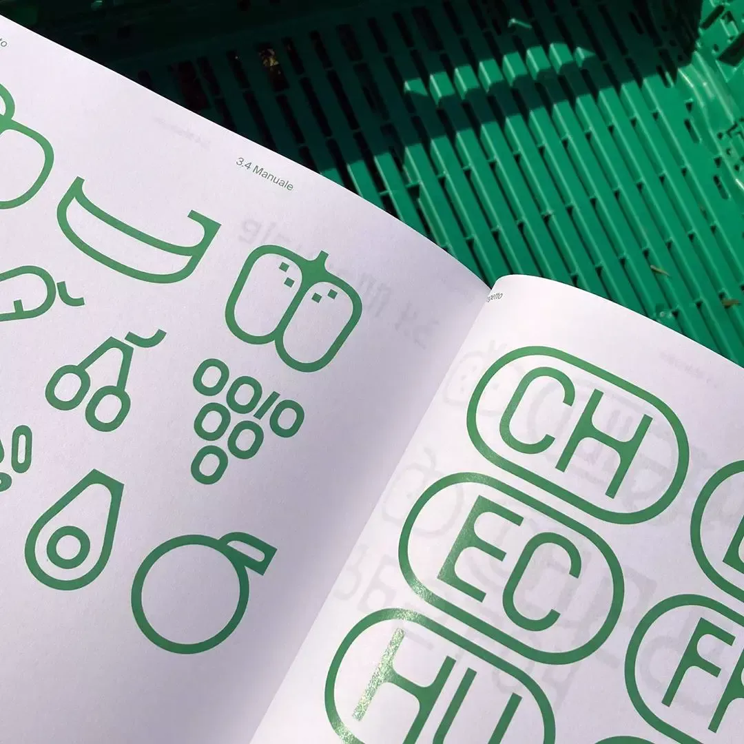 This image showcases a clean, highly organized visual language centered around line art icons within an open manual. The design emphasizes clarity and precision through the use of simple, consistent geometric shapes rendered in a soothing green tone against a bright white background.