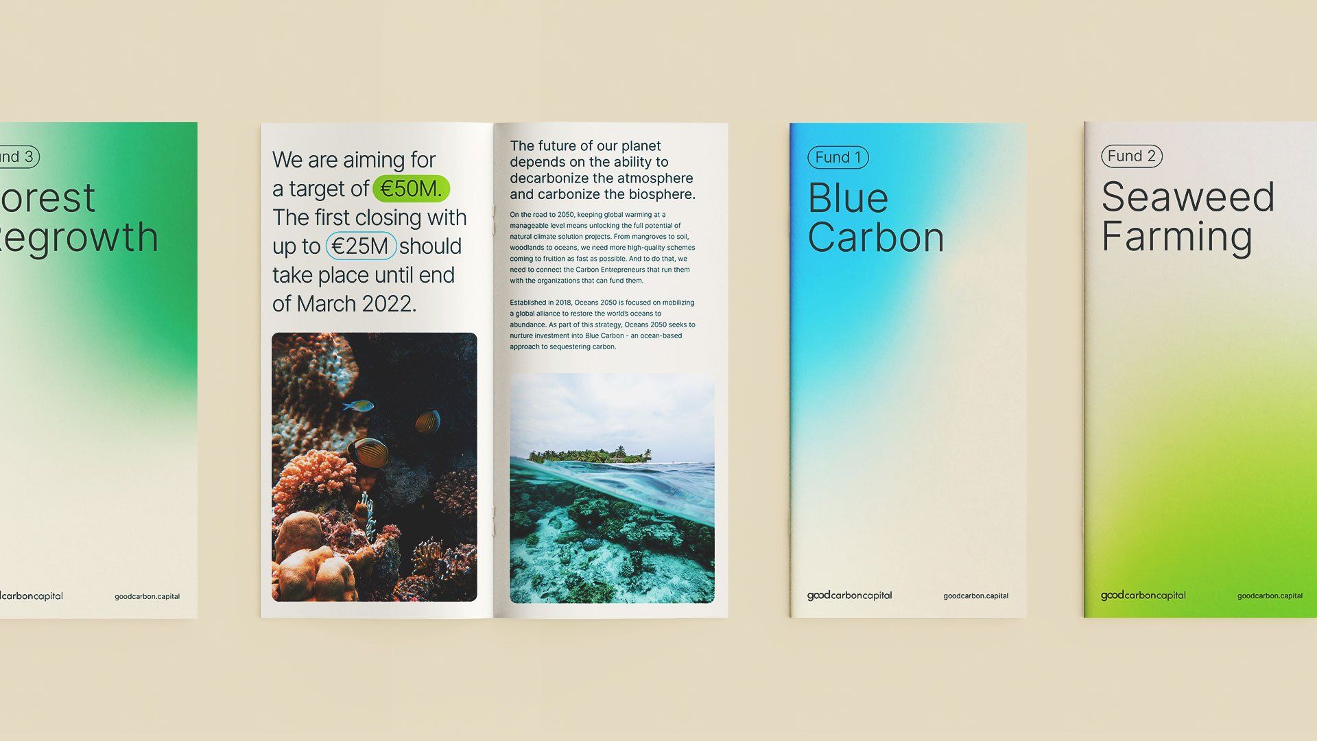 This design utilizes a clean, modular layout to present complex information regarding environmental funding opportunities. The visual language is modern and sophisticated, successfully blending scientific concepts (like blue carbon) with organic imagery to convey trust and innovation.