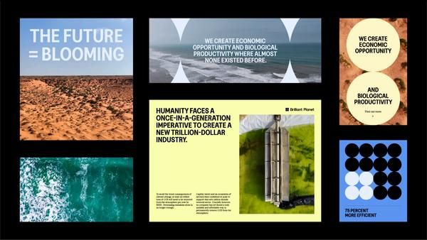 This image is a series of distinct, minimalist slides or panels, using high-contrast imagery and clean typography to convey concepts related to future growth, economic opportunity, and biological productivity. The design relies heavily on negative space and strong visual metaphors to communicate complex ideas succinctly.