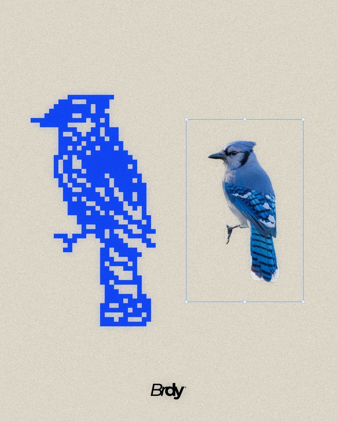 This image presents two distinct, blocky pixel art representations of a bird set against a muted background, establishing a strong retro digital aesthetic. The design relies on simple geometric forms and a limited color palette to create a graphic and nostalgic feel.