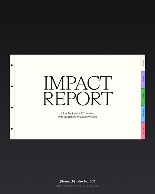 A minimalist impact report cover featuring clean typography and a spiral-bound aesthetic with colorful edge tabs. The design employs a sophisticated monochromatic approach with strategic use of color accents, creating a professional yet approachable visual identity. The layout emphasizes clarity and hierarchy through generous whitespace and refined serif typography.