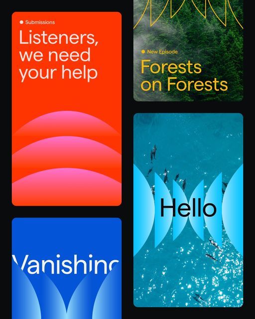 This visual collage showcases a diverse range of graphic design styles, utilizing high contrast and organic textures to create distinct brand identities. The designs successfully blend bold typography with atmospheric, nature-inspired color fields to evoke curiosity and depth.