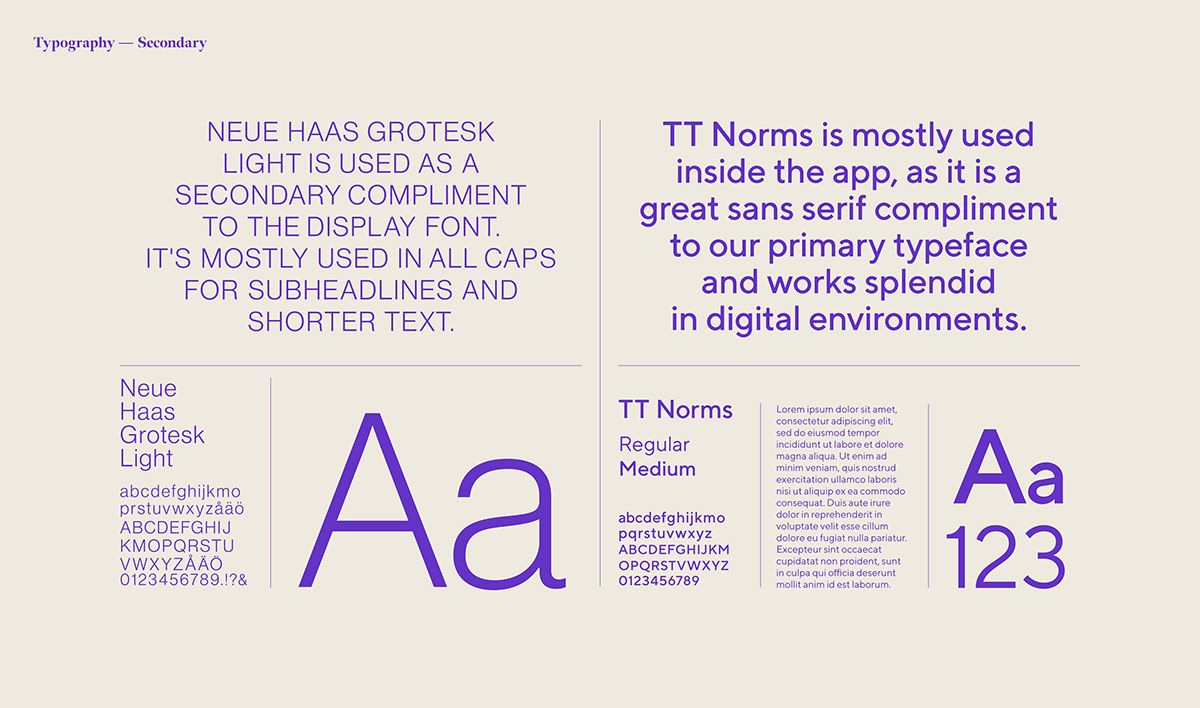 This is a clean, minimalist presentation slide focused on showcasing typographic relationships and usage guidelines. The design utilizes soft gradients and high contrast to clearly differentiate information while maintaining an elegant, modern aesthetic suitable for technical design documentation.