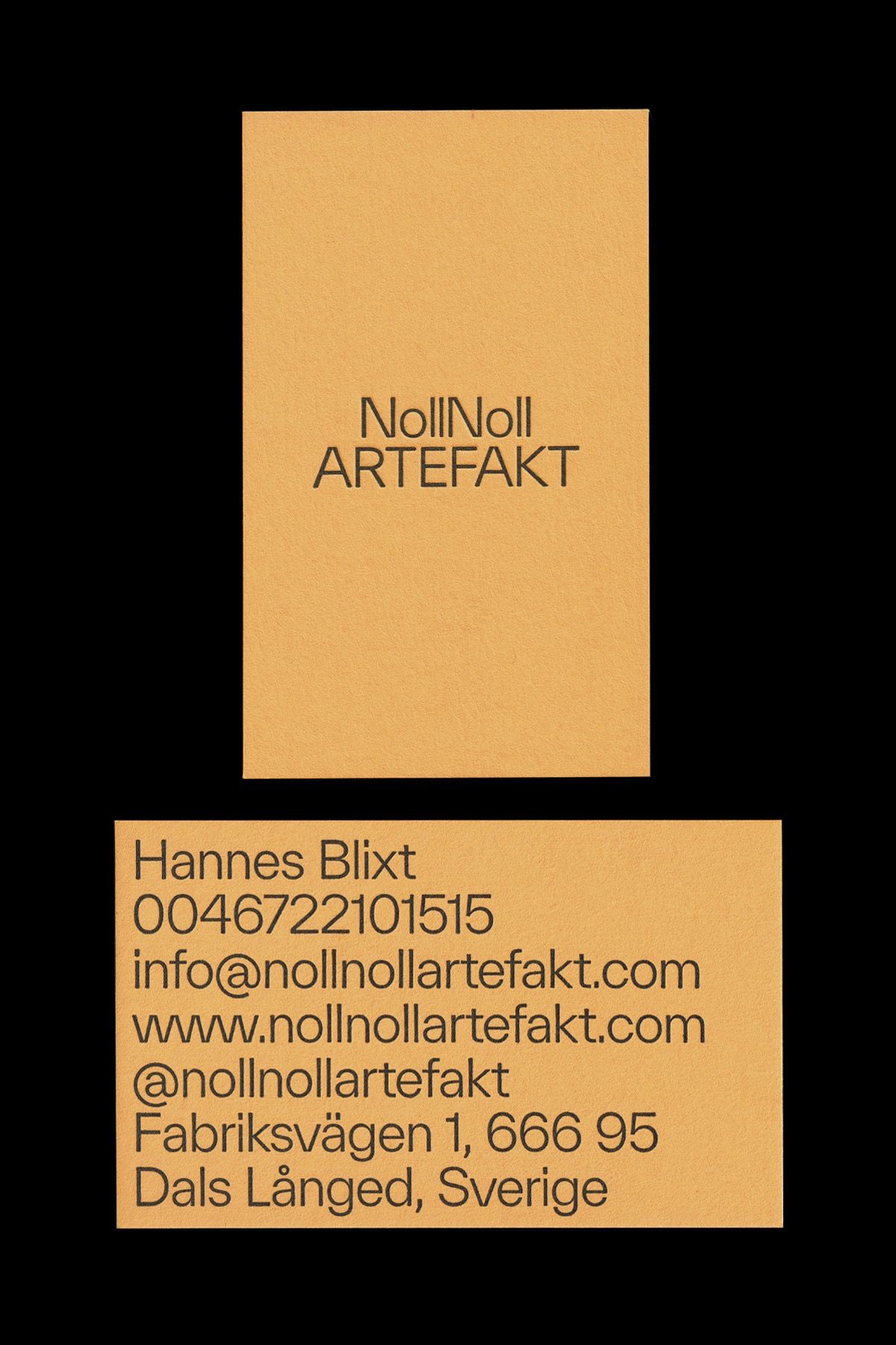 The design is minimalist and stark, utilizing a muted, warm beige tone against a deep black background. It conveys a sense of archival documentation or official identification due to its clean, centered layout and simple typography.