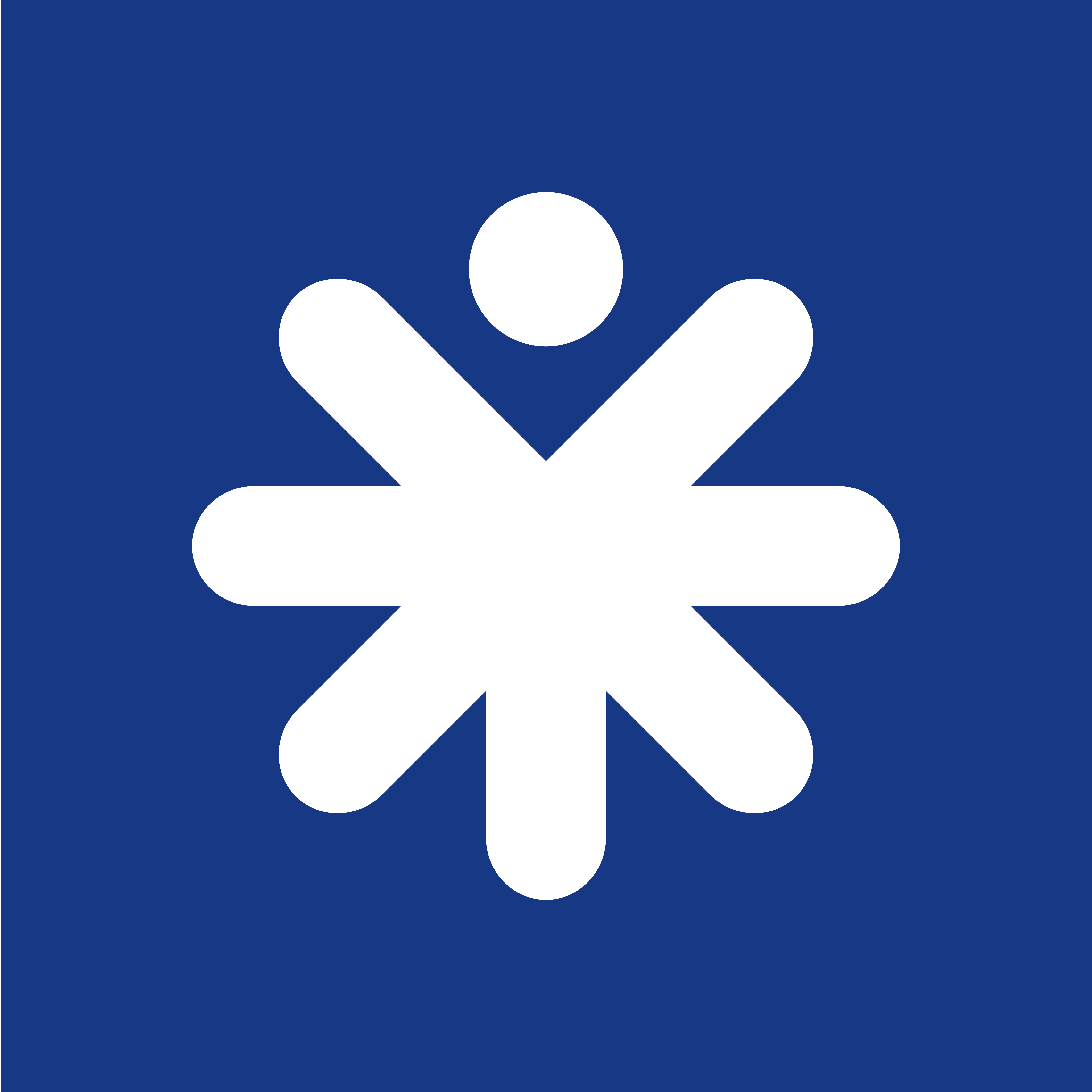 This design utilizes a strong, high-contrast visual language featuring a simple white icon against a deep blue field. The clean lines and symmetrical form convey a sense of unity, movement, and clear, positive messaging.