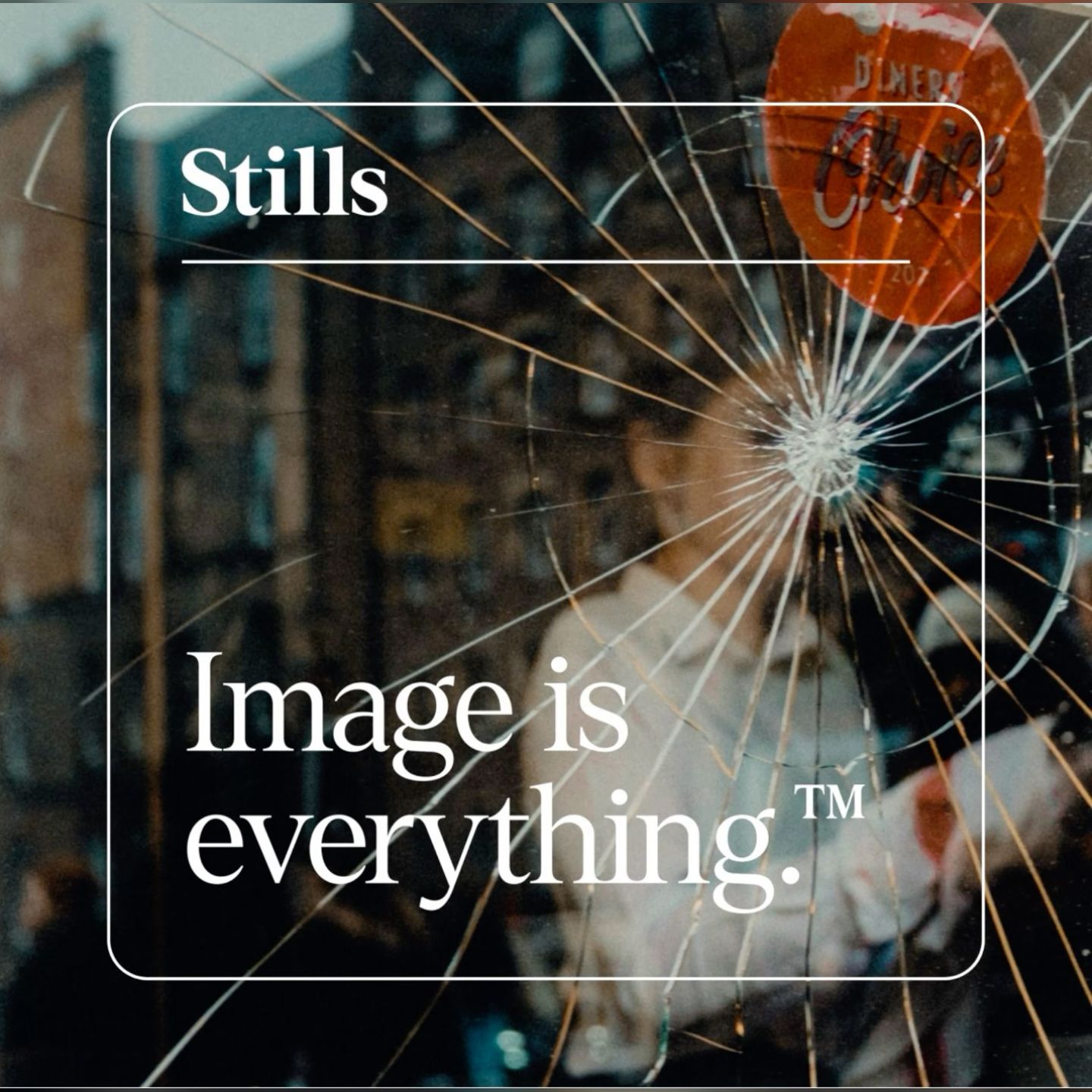 This is a high-contrast, gritty photographic composition overlaid with stark white text and a prominent spiderweb effect. The design evokes themes of fractured perception, memory, or the fragility of an image.