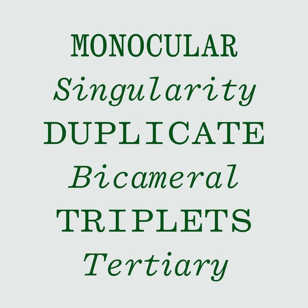 This image presents a stark, text-heavy typographic composition using a serif typeface against a muted, light gray background. The design relies purely on the arrangement and capitalization of words to create visual hierarchy, suggesting a formal or academic listing.