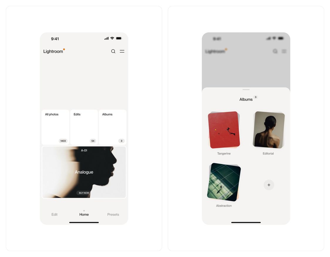 The image displays a clean, minimalist user interface design, likely for a photo editing or gallery application. It utilizes ample white space and subtle grays to create a professional, uncluttered, and modern aesthetic.