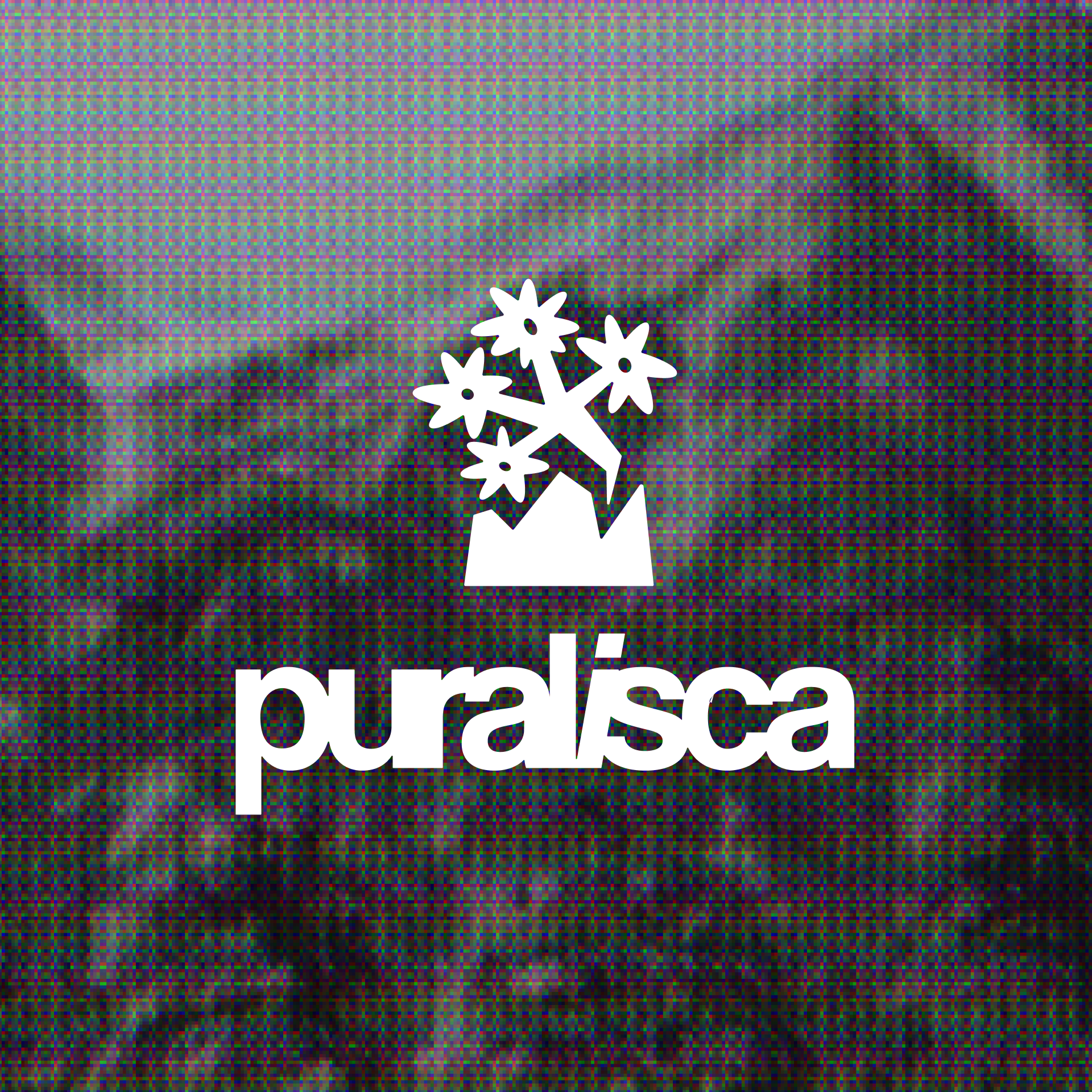A minimalist logo design featuring a stylized white flower or plant icon above the wordmark 'pluralsca' set against a textured, digitally distorted background with RGB color separation artifacts. The design employs a clean, modern aesthetic with strong contrast between the crisp white elements and the chaotic, glitchy background texture.