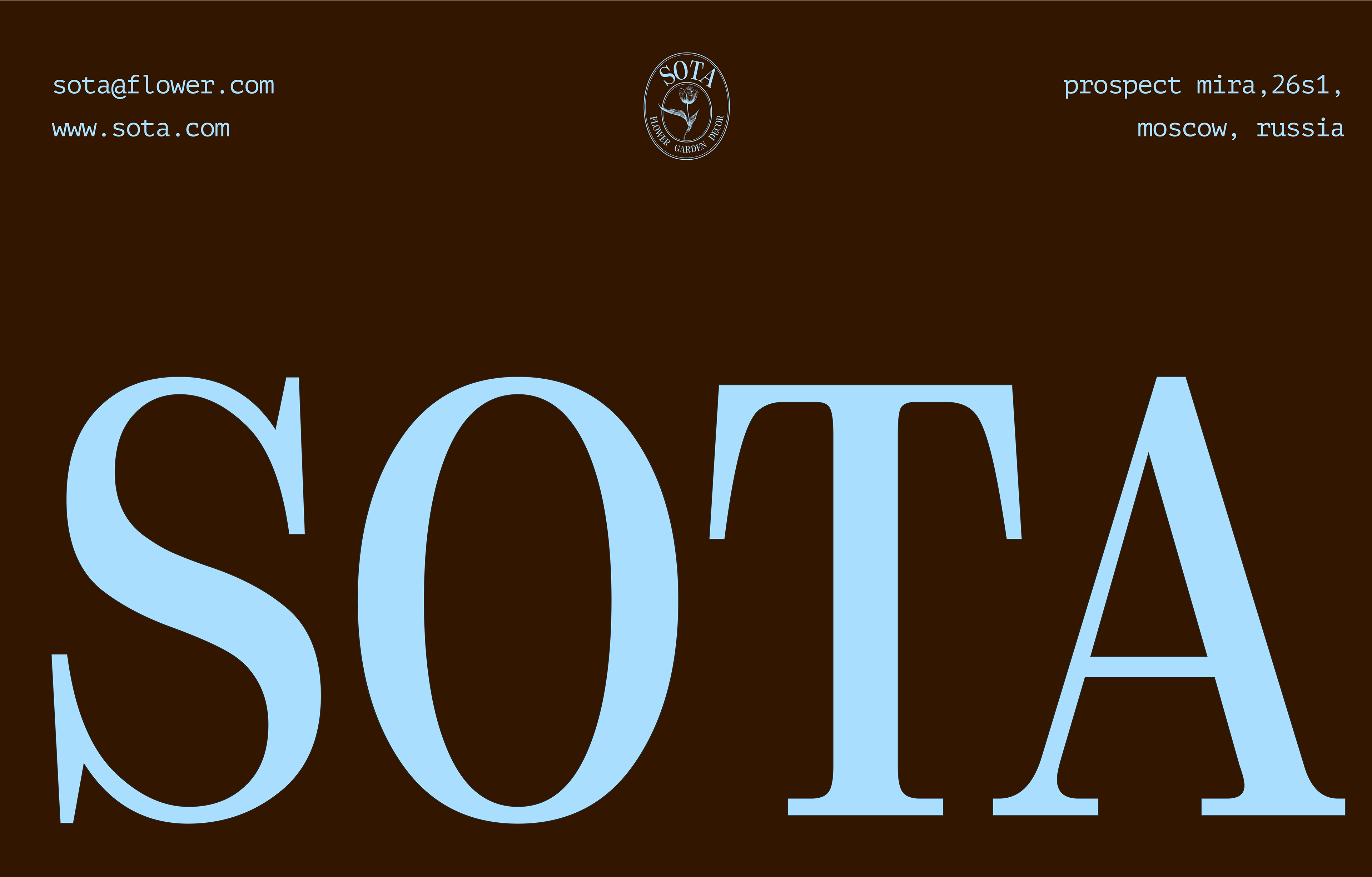 This design utilizes a strong, classic contrast between a deep, earthy brown background and cool, icy blue text to create a sophisticated and grounded visual. The layout is minimalist, ensuring the large wordmark 'SOTA' dominates the frame with clear visual hierarchy. The overall impression is professional, clean, and modern.
