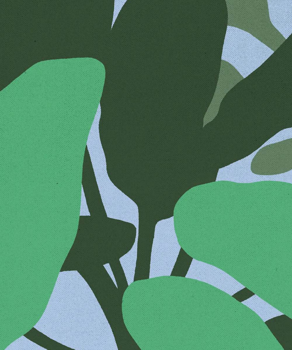 This image features a bold, organic pattern dominated by large, elongated leaf shapes in muted greens and deep olive tones against a pale, cool gray background. The design evokes a natural, botanical, or abstract camouflage feel with a modern, slightly muted aesthetic.