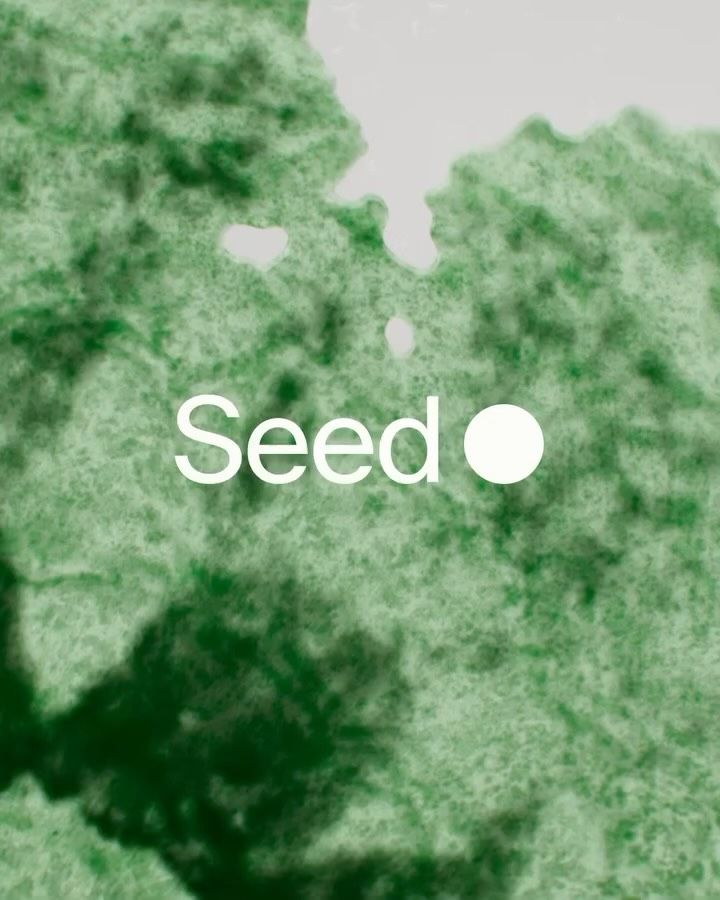 This design employs a soft, organic texture resembling foliage or moss as a backdrop for clean, minimalist typography. The visual language emphasizes natural elements and tranquility, creating an earthy yet fresh aesthetic suitable for wellness or nature-focused brands.