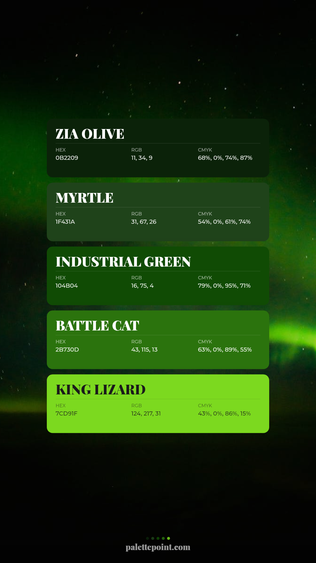 This design utilizes a dark, atmospheric background contrasted by vibrant, neon-like green blocks to present structured data. The visual language is clean and modern, relying heavily on high contrast and a monochromatic color scheme to create a technical yet striking aesthetic.