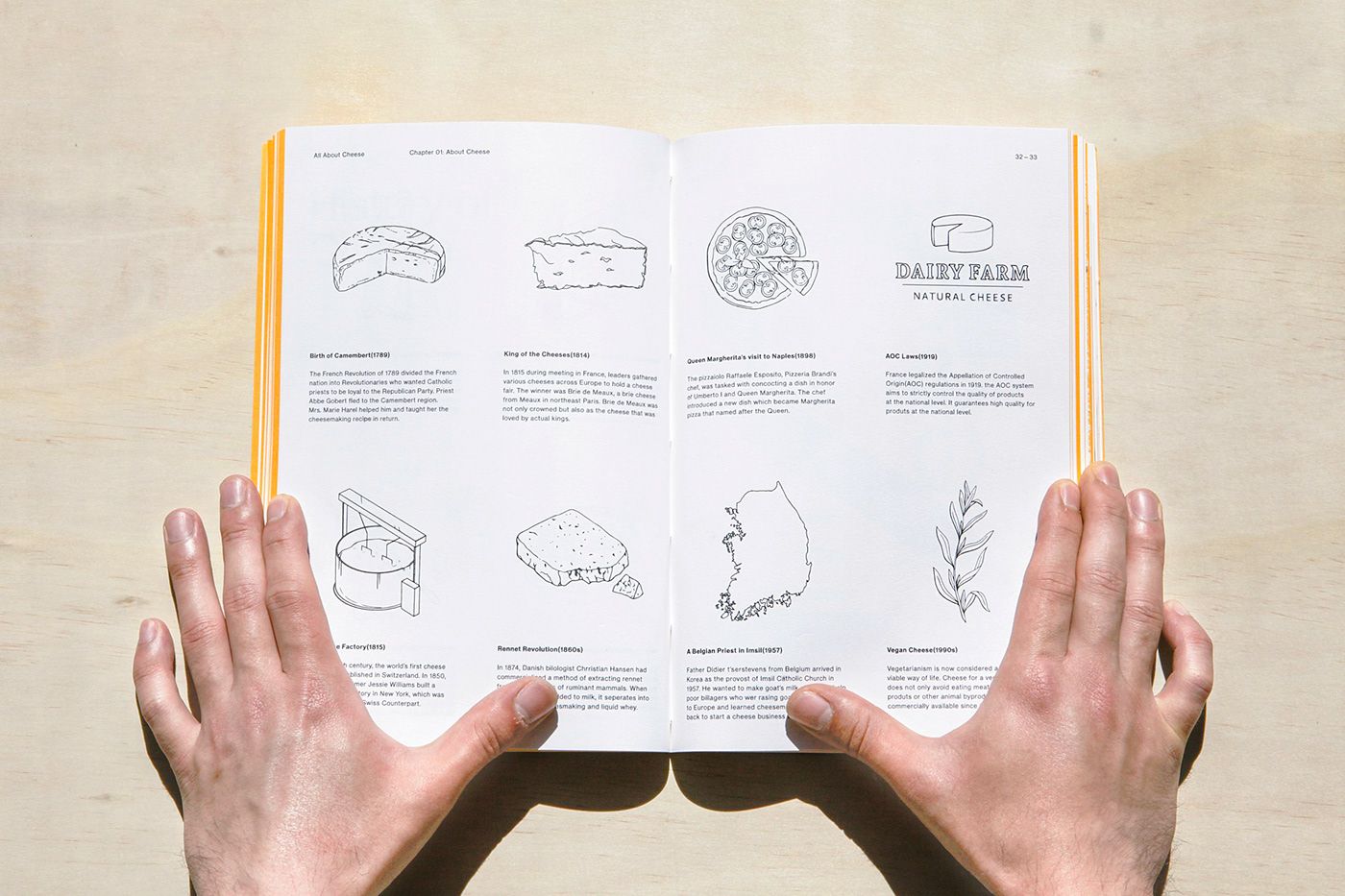 This image presents a clean, minimalist layout featuring line drawings or illustrations of cheese products against a light, neutral background. The design emphasizes simplicity, clarity, and a natural, artisanal aesthetic suitable for food or dairy branding.