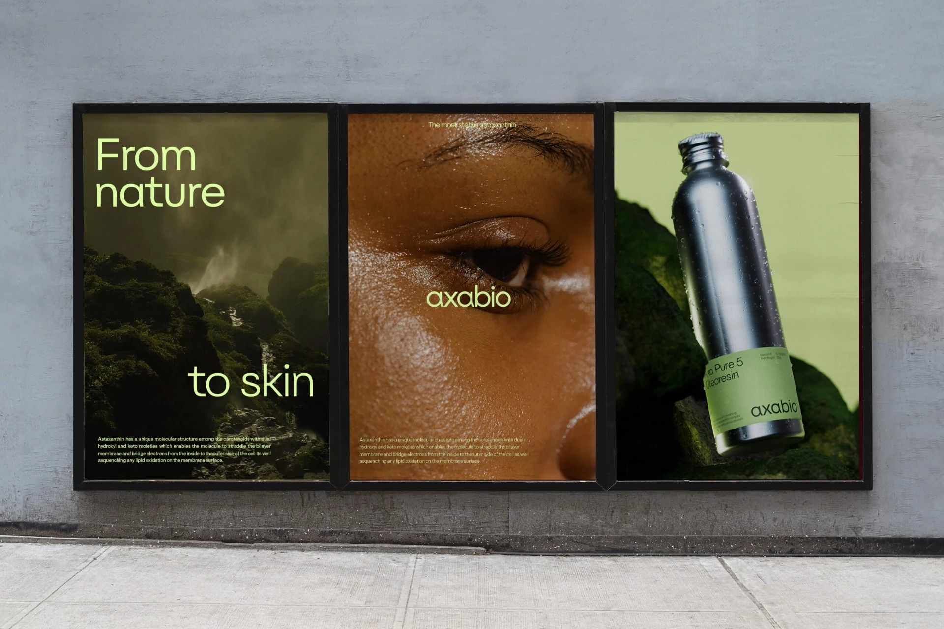 This is a minimalist, high-end photographic display featuring three panels that visually connect the concept of 'From nature to skin.' The design uses rich, earthy tones and close-up textures to evoke natural beauty and skincare efficacy.