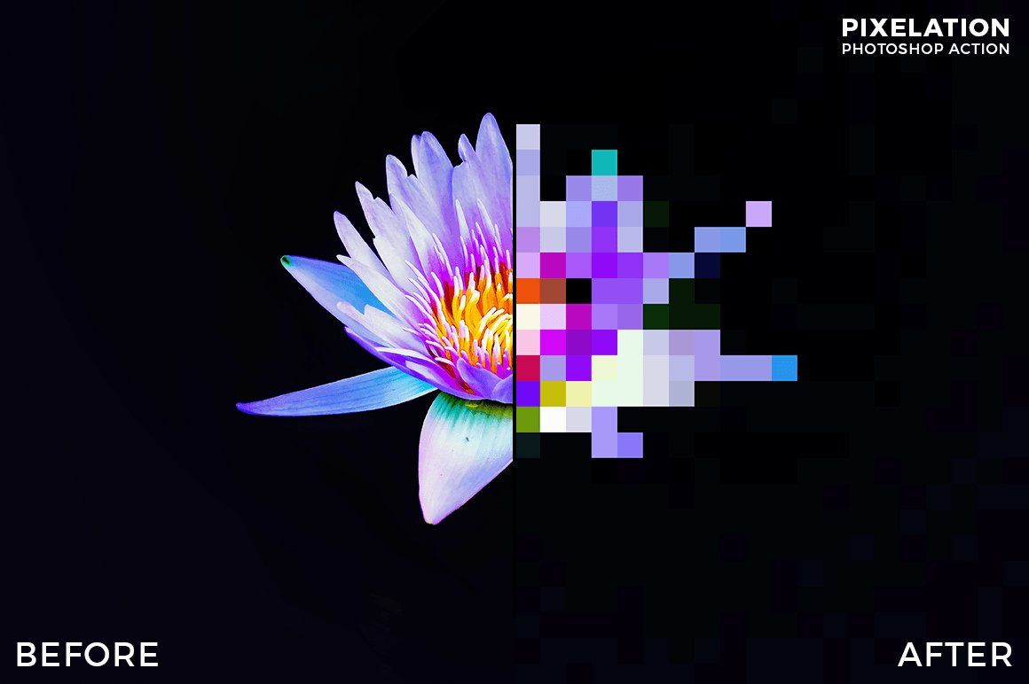 This image presents a stark before-and-after comparison illustrating the effect of pixelation applied to a photographic subject. The design effectively contrasts organic detail with harsh, blocky digital abstraction.