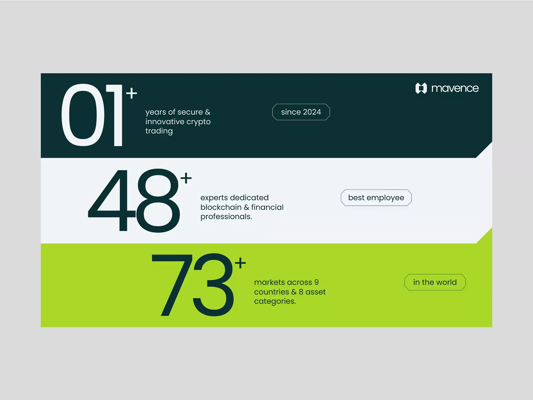 The design uses a clean, modern, and professional layout with a strong division of color blocks to highlight key statistics. The visual language is corporate and achievement-focused, relying on large numbers and clear typography to convey credibility.