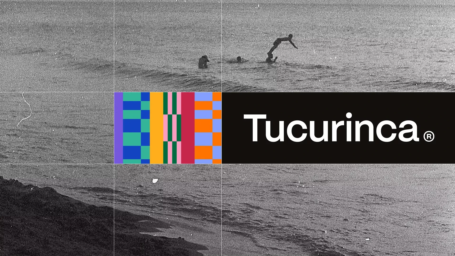 This image features a stark contrast between a monochromatic, textured natural landscape and vibrant, modern graphic elements. The composition juxtaposes organic scenery with structured data visualization through a colorful bar chart overlaid on the scene, creating a sense of scientific discovery or brand identity.