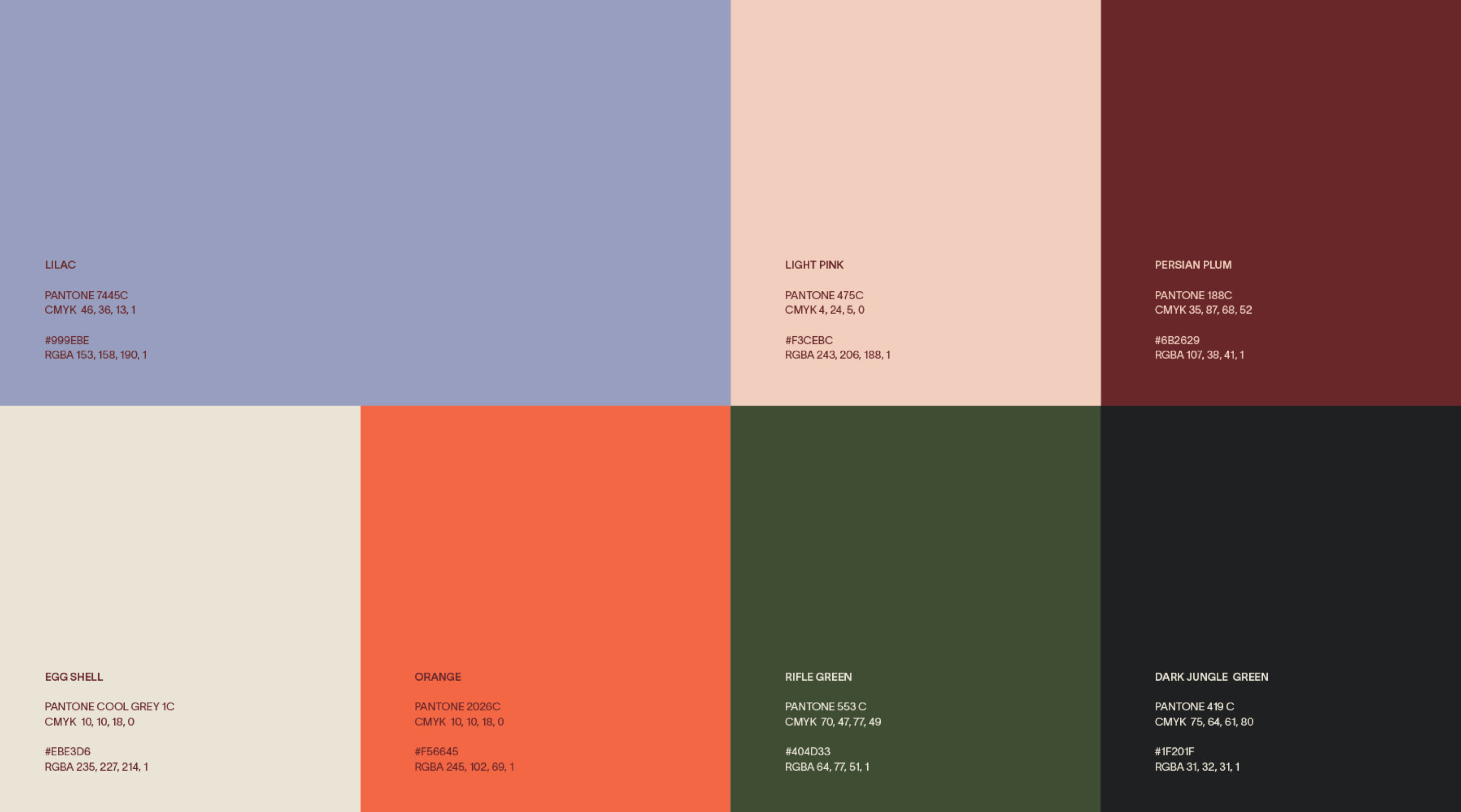 A systematic color palette display featuring six distinct color blocks arranged in two rows, each labeled with color names and hex codes. The design employs a minimalist, technical approach with clean typography and organized information hierarchy, presenting a professional color reference guide or design system documentation.