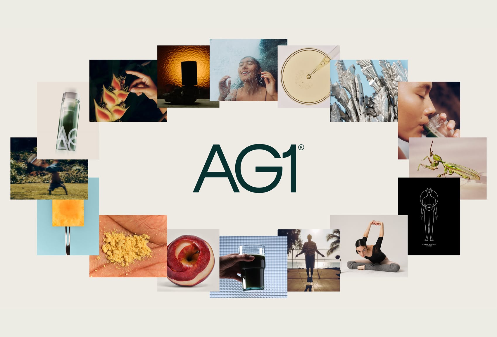 This is a collage or mood board featuring various close-up, organic, and lifestyle-oriented photographic elements surrounding a central, clean logo. The visual language is naturalistic and focused on texture, human interaction, and perhaps health or wellness products. The overall feel is sophisticated, earthy, and minimalist.
