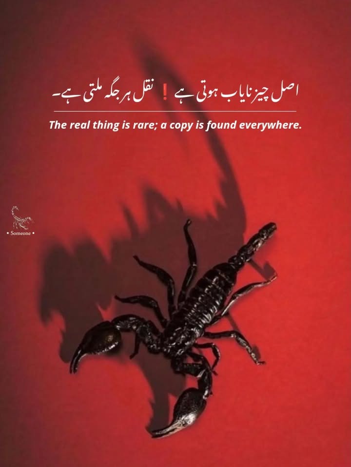 The image features a stark, high-contrast composition dominated by a deep red background and a dark silhouette of a spider. The design uses minimalist typography to convey a philosophical statement about originality versus copies, creating a moody and intense visual narrative.