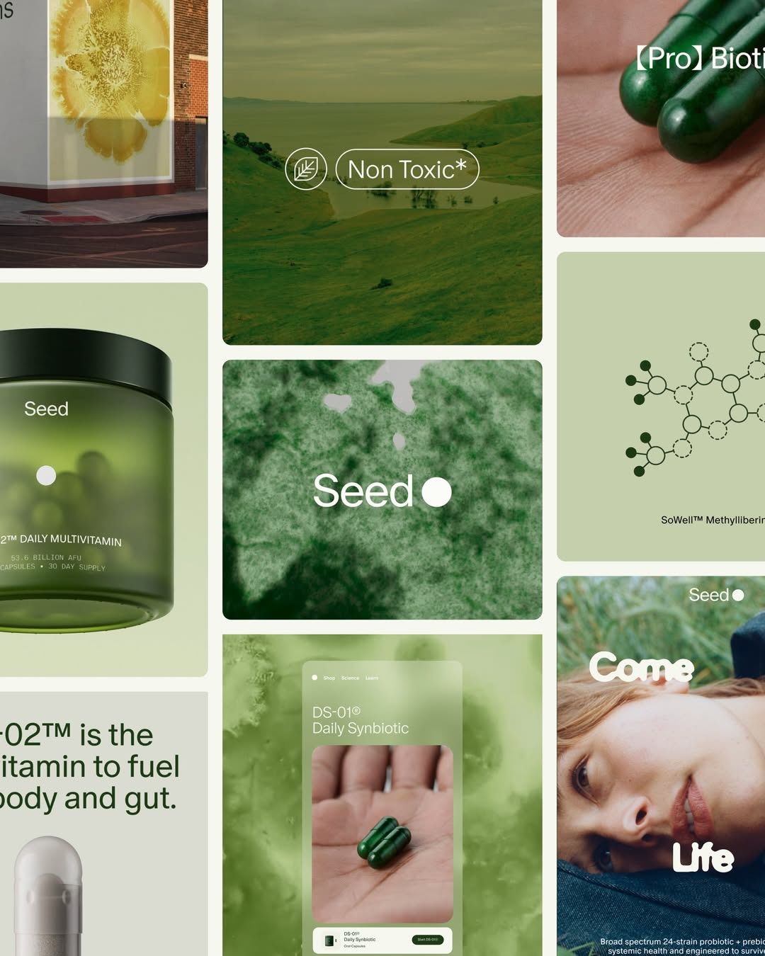 The visual language emphasizes natural purity and health, utilizing earthy tones and soft lighting to create a trustworthy and organic feel. The composition is a curated collage of product shots, botanical elements, and lifestyle imagery, creating a cohesive brand identity centered around wellness and nature.