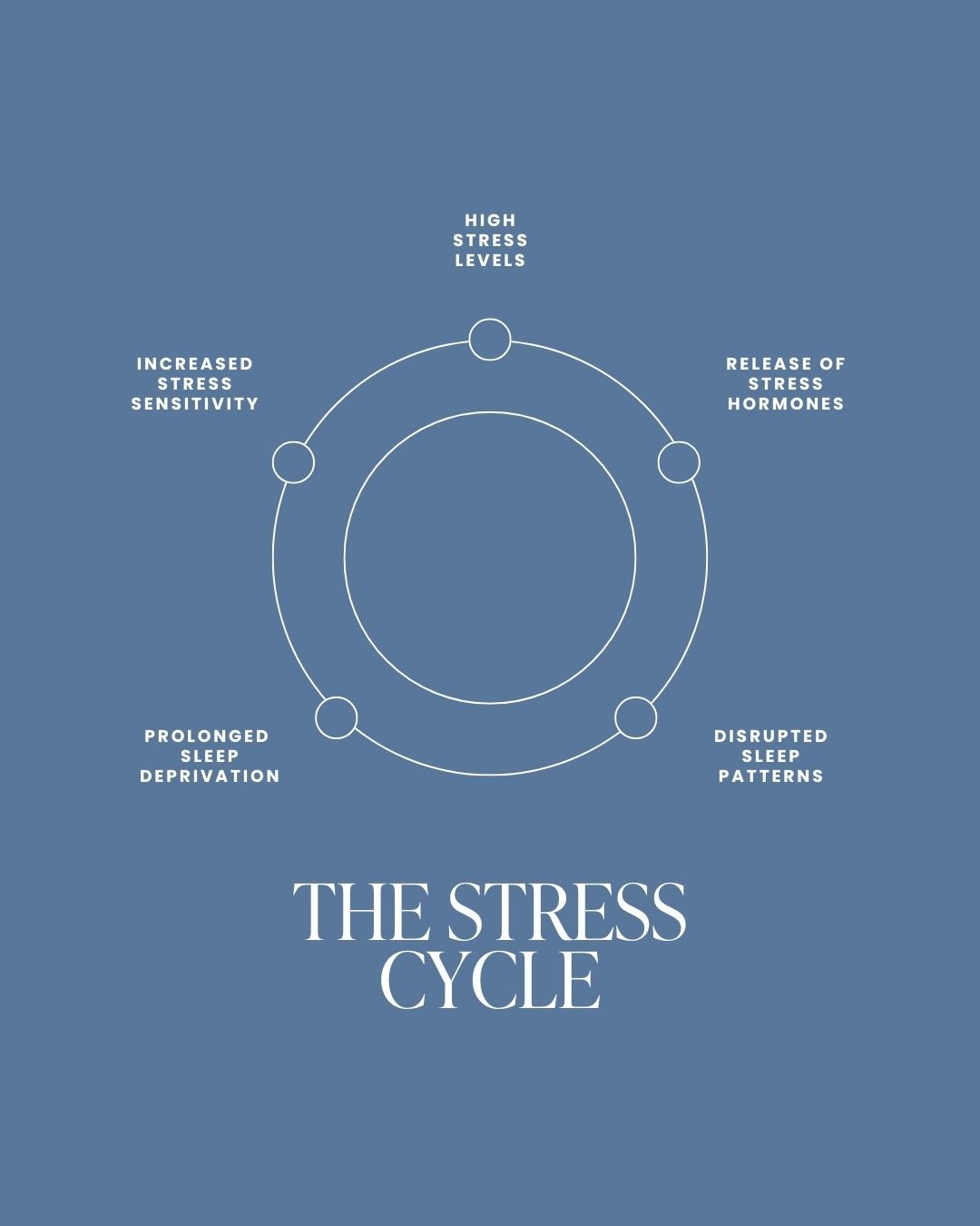 This is a minimalist, diagrammatic infographic illustrating a cyclical process related to stress. The design uses clean lines and negative space effectively to convey a scientific or psychological concept in a calm, organized manner.