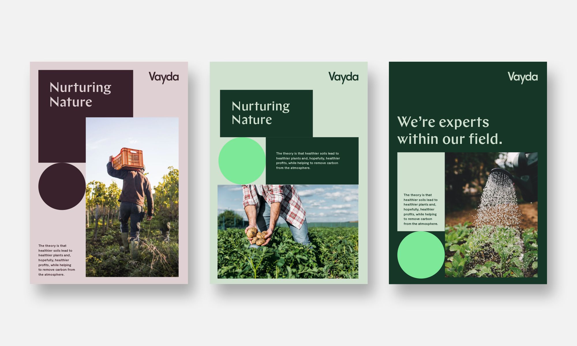 The design utilizes a clean, modern aesthetic with a muted, earthy color palette and strong geometric shapes to convey professionalism and natural themes. The layout is balanced, using negative space effectively to separate distinct informational blocks.