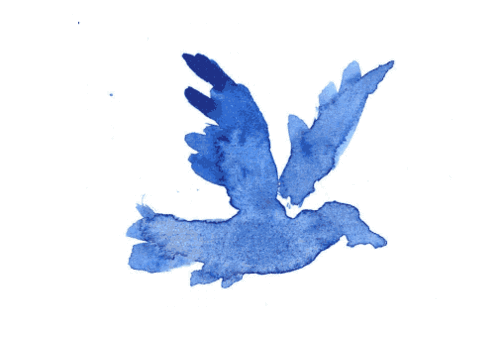 This image features an expressive, fluid stroke of deep blue watercolor paint, suggesting the silhouette of a bird in flight. The visual language is organic and dynamic, relying on the transparency and bleeding quality inherent to watercolor medium to create movement.