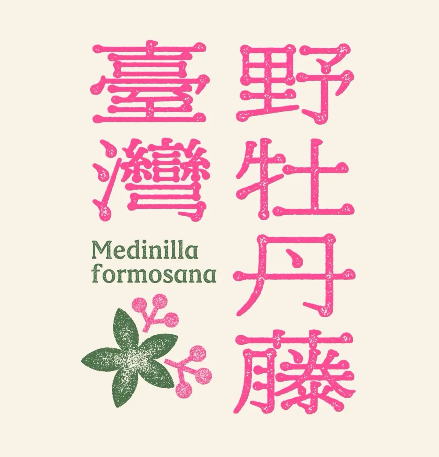 This image features a collection of stylized, hand-drawn or brush-stroke characters in a vibrant pink against a pale beige background. The design evokes a traditional or artisanal aesthetic, combining calligraphic elements with a modern, clean layout.