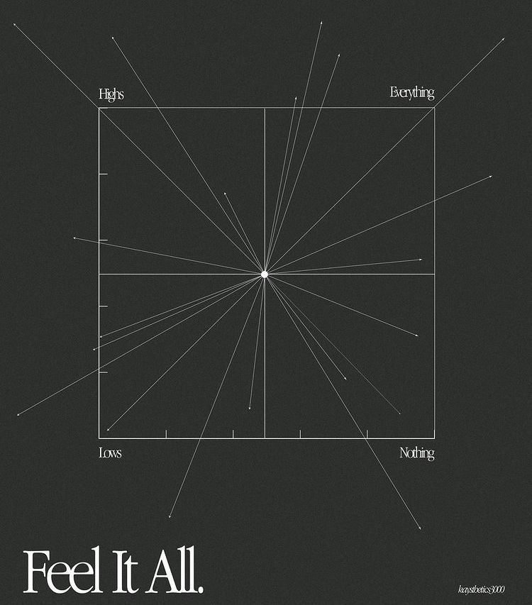 This is a minimalist, abstract graphic featuring a central focal point radiating lines across a grid structure. The design uses stark contrast and precise geometry to explore concepts of extremes (Highs, Lows) and totality ('Feel It All').
