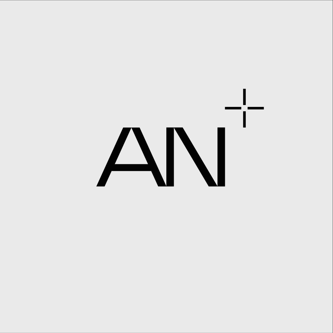 This is a minimalist and modern logo featuring the initials 'AN' with a subtle cross mark accent. The design relies on clean lines and ample negative space to convey sophistication and simplicity.