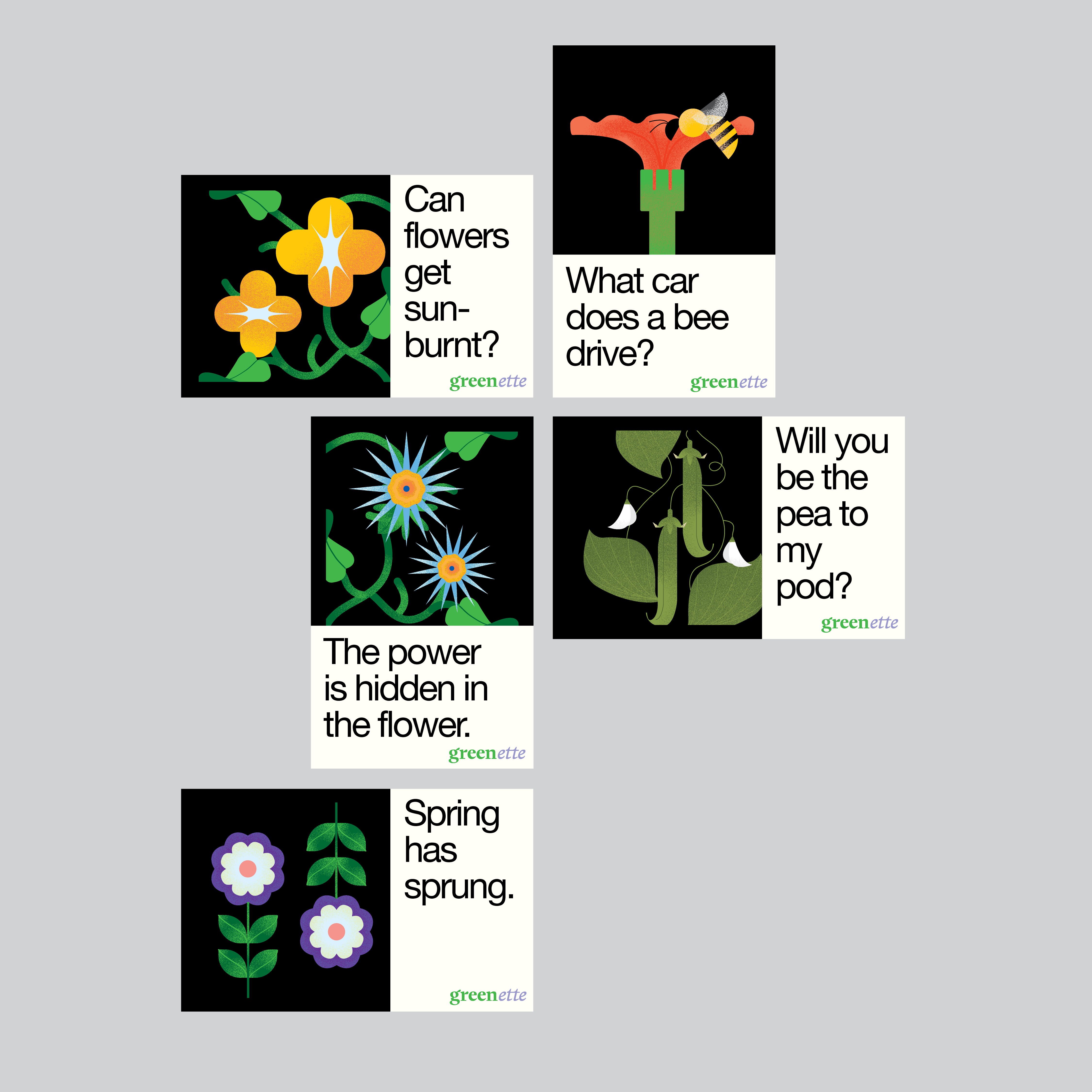 A playful educational design featuring illustrated botanical cards with witty taglines about plants and flowers. The layout combines vibrant, stylized flora illustrations on black backgrounds with clean typography and a light gray backdrop, creating a modern, approachable learning aesthetic.
