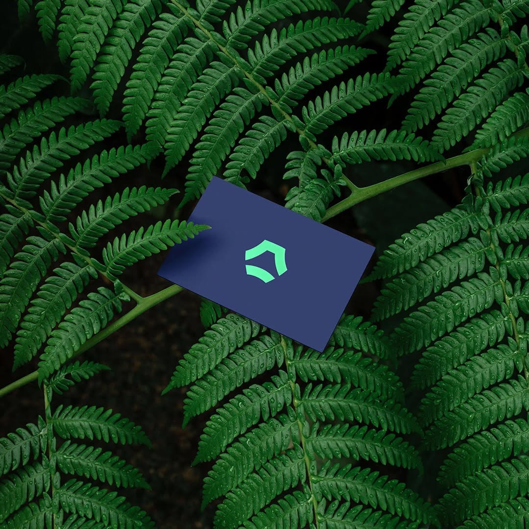 This design effectively merges organic texture with clean, modern graphic elements, creating a striking juxtaposition between nature and digital branding. The visual language is sophisticated and emphasizes depth through color contrast and texture.