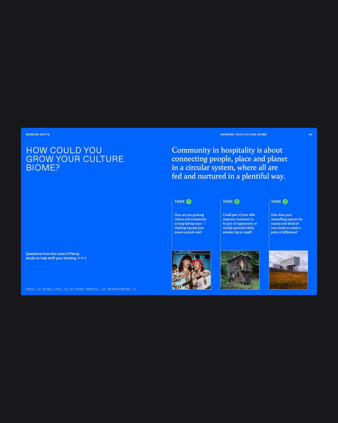 This slide utilizes a clean, professional design pairing dark backgrounds with light text to present complex information in an organized manner. The visual language is grounded in organic imagery, suggesting a connection between human systems and natural ecosystems. The overall feel is academic, thoughtful, and environmentally conscious.