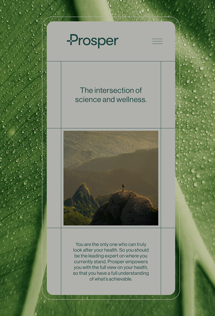 The design features a clean, minimalist aesthetic dominated by natural greens and muted earth tones, suggesting a connection between nature and wellness. The layout is structured with clear, separated blocks of text and imagery, conveying a sense of professionalism and tranquility.