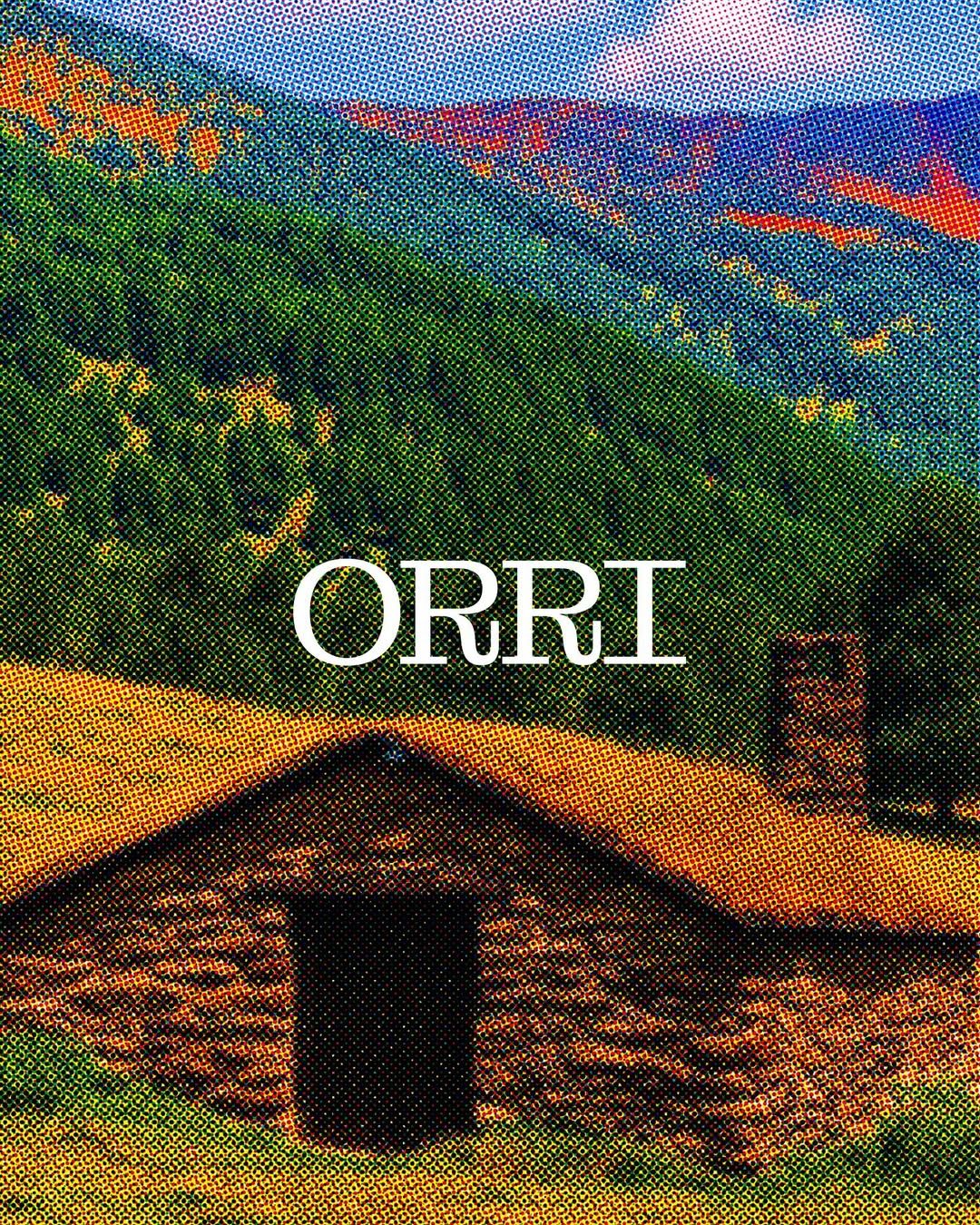 This image presents a richly textured, layered landscape dominated by warm, earthy tones and deep greens, overlaid with a distinct grainy or halftone effect. The composition uses foreground structures to frame an expansive, atmospheric background, creating a nostalgic and rugged visual experience.