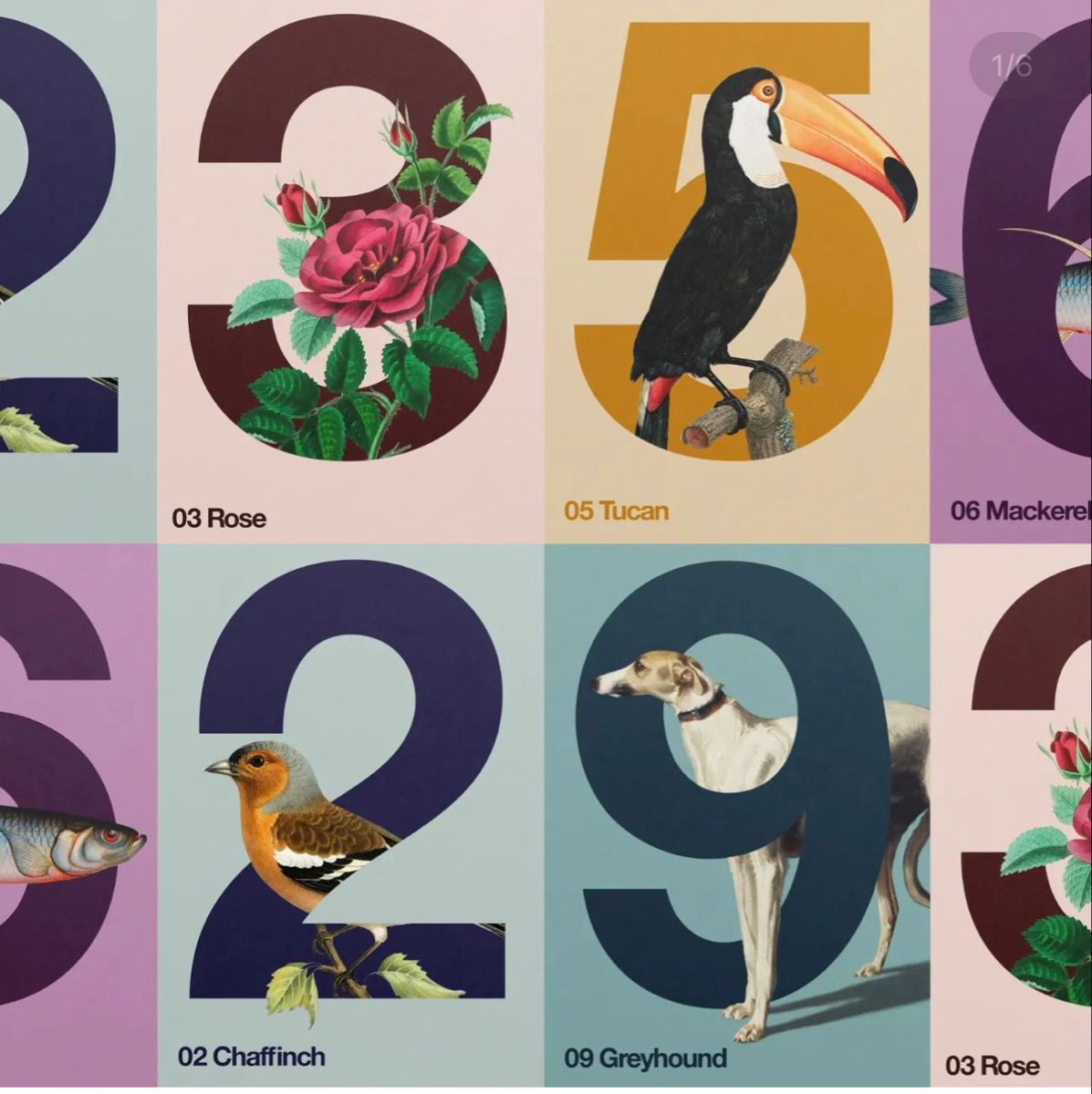 This image displays a series of numbered botanical and animal illustrations set against muted, pastel-toned backgrounds. The design employs a clean, modern aesthetic with strong graphic elements and detailed natural subjects.